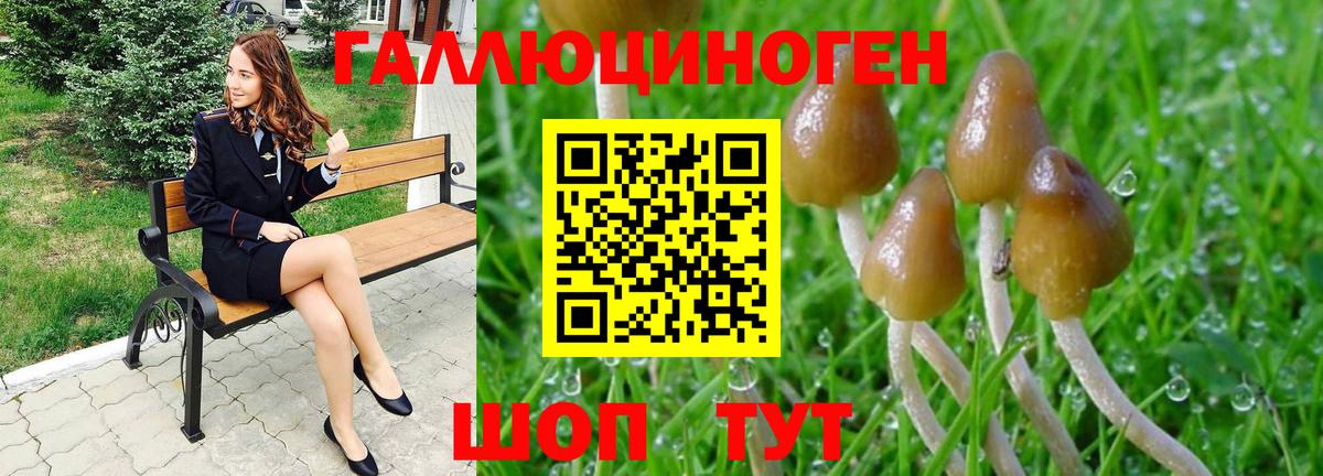 Галлюциногенные грибы Psilocybe  Галлюциногенные грибы мицелий  Шадринск  Вход с VPN 