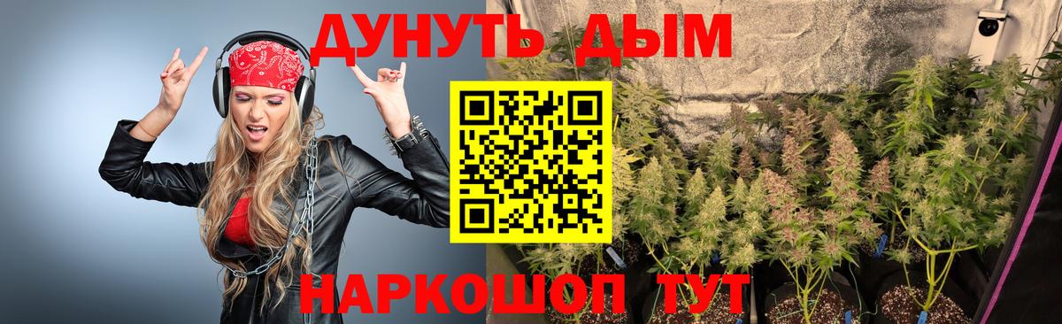 Канабис план Шадринск